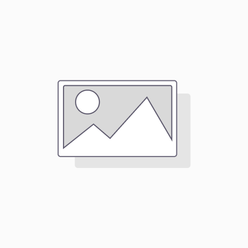 Brand Kit for B2C Brands